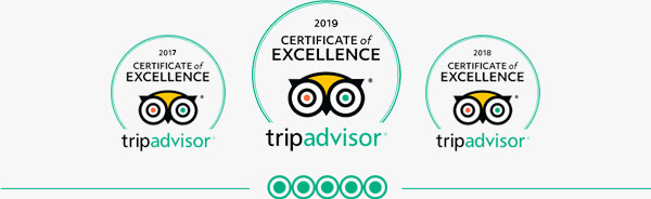 Trip Advisor Excellence