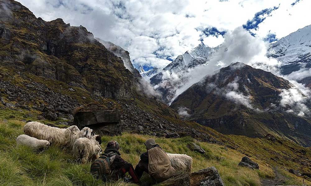 Annapurna Base Camp Trek in July