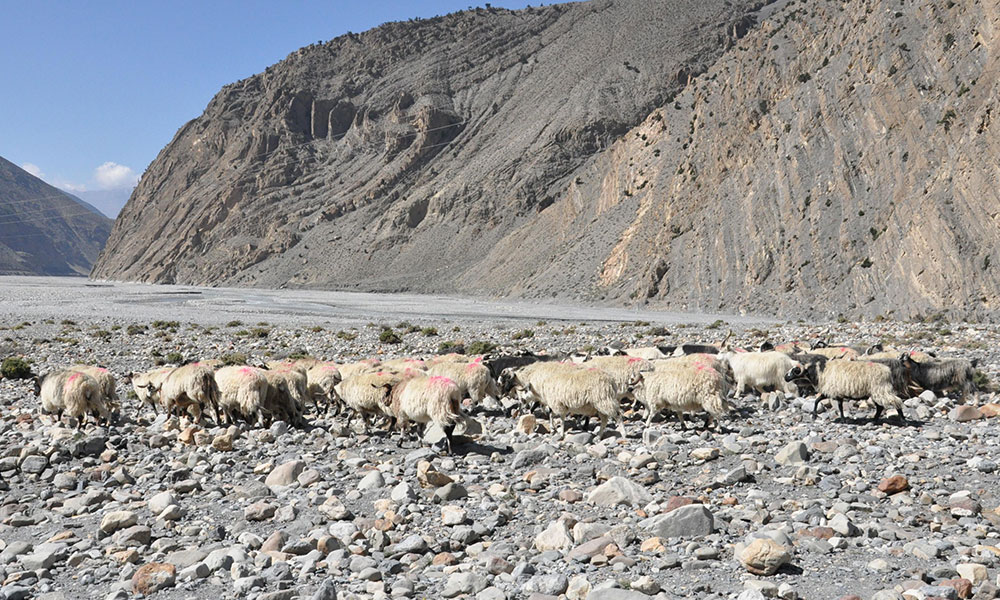 best time to visit mustang nepal