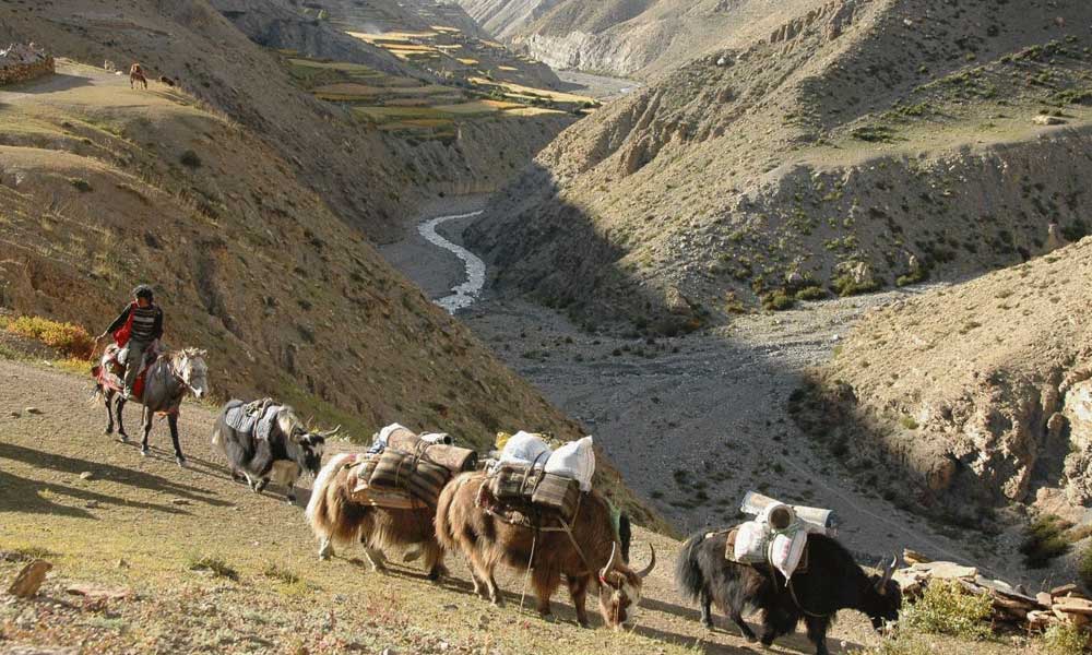 upper dolpo to upper mustang trek