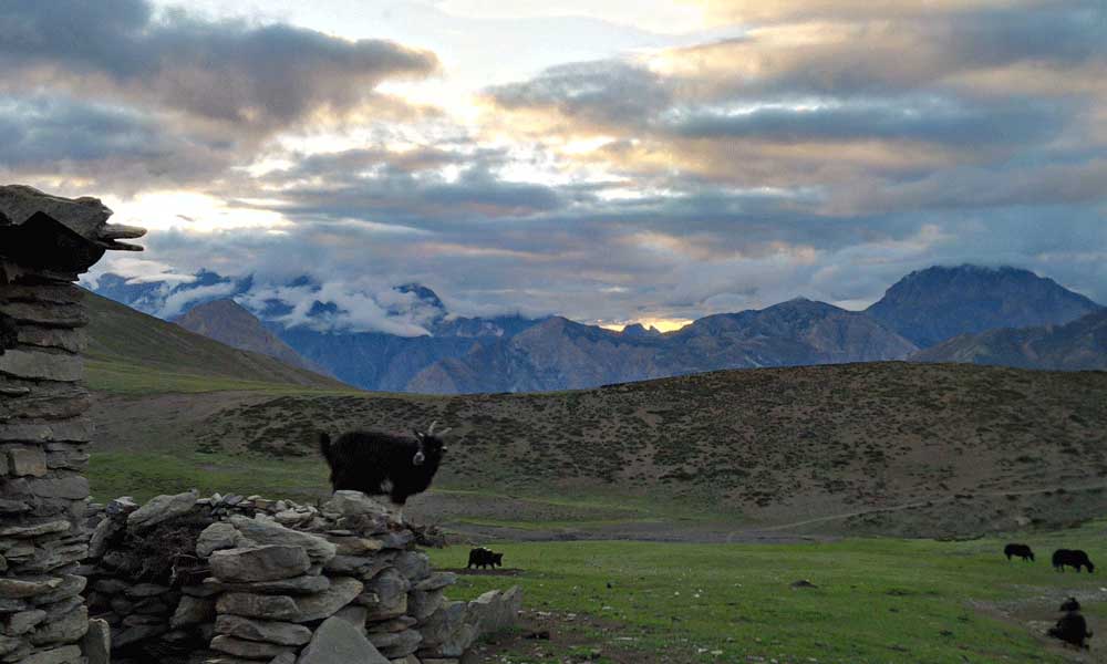 upper dolpo to upper mustang trek best time