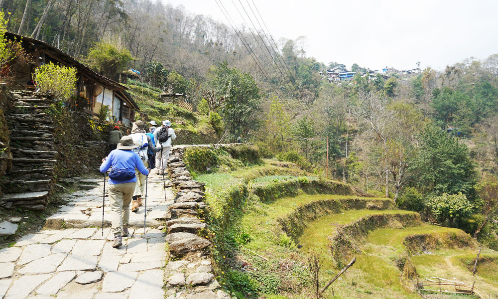 Kathmandu to Ghandruk Tour