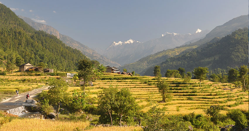 low land of trek to manaslu Region 