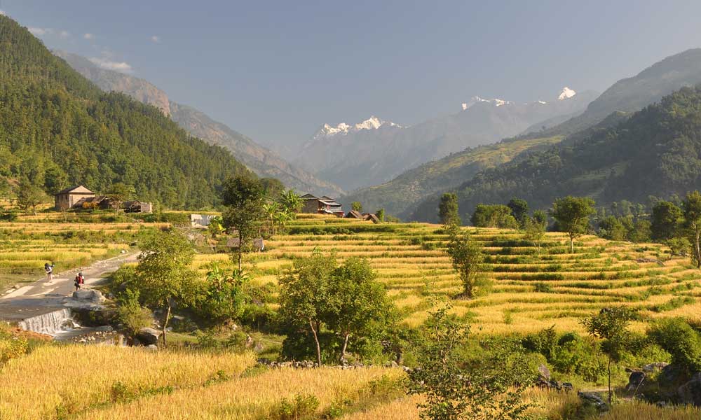 Manaslu Circuit Trek 16 days