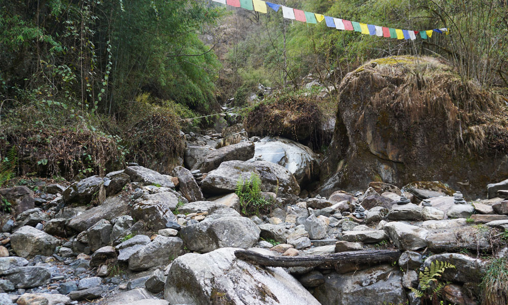 Annapurna Base Camp Trek in March