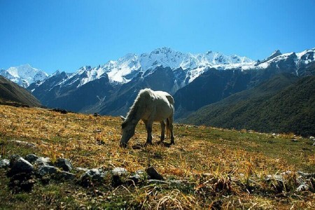 Langtang Helambu Trekking