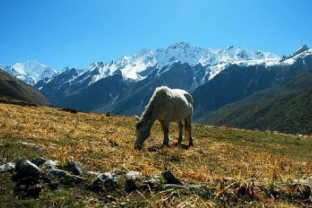 Langtang Trek 7 Days Itinerary