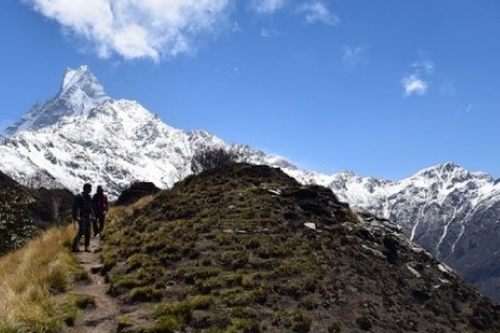 Mardi Himal Trek Cost