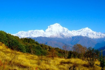 Monsoon Trekking in Nepal