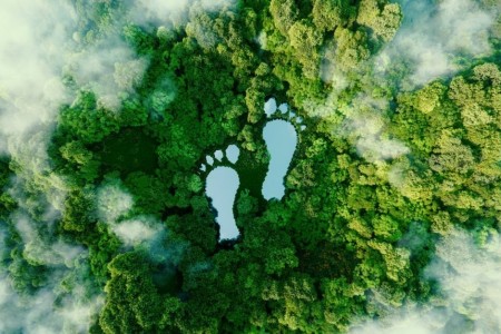 Metaphoric photo symbolizing the human impact on the environment