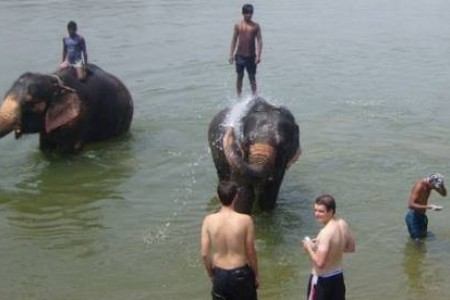 Jungle Safari In Nepal