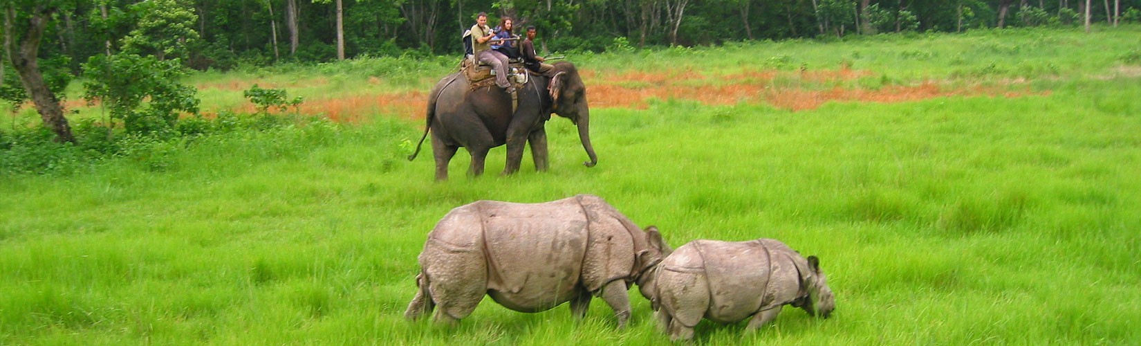 Bardiya Jungle Safari